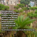 Pusat Tanaman Hias Buah2an Jasa Pembuatan Taman Garut Garuttradingcom 2