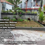 Pusat Tanaman Hias Buah2an Jasa Pembuatan Taman Garut Garuttradingcom 6