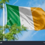 Where Irish Advertisers Will Win on Social Media in 2026 (And Where They’ll Lose Money) GARUTTRADINGCOM