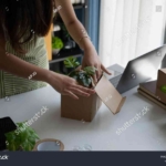 Why sustainable e-commerce becomes Norway’s most valuable trend in 2026 GARUTTRADINGCOM