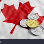 Canadian Crypto ETFs Prediction 2026 Will Institutional Money Dominate GARUTTRADINGCOM