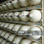 CNG cylinders at a a CNG gas station.