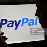 Free PayPal Fee Calculator Calculate PayPal Fees, Net Payments, and the Amount to Charge GARUTTRADINGCOM