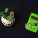 Plant Spacing Calculator Complete Garden Planning Guide for Vegetables, Flowers, and Raised Beds GARUTTRADINGCOM