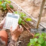 Plant Spacing Calculator How Many Plants Can You Grow in Your Garden GARUTTRADINGCOM